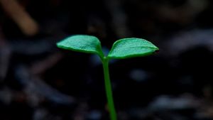 Taking a break from drinking alcohol can lead to positive change